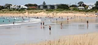 Apollo Bay Travel Guide