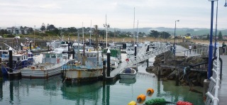 Services in Apollo Bay, Victoria, Australia