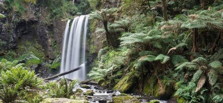Otways waterfalls, Houptoun Falls pictured, Victoria Australia