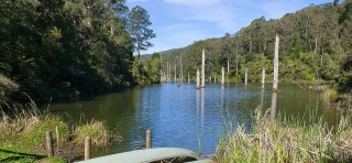 Mountain bike area in the Otways, near the town of Forrest, Victoria, Australia. Lake Elizabeth pictured.