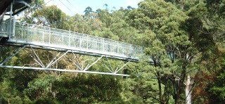 Otway Fly elevated rainforest walkway, Victoria, Australia